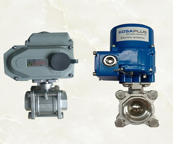 Van bi ren inox điều khiển điện