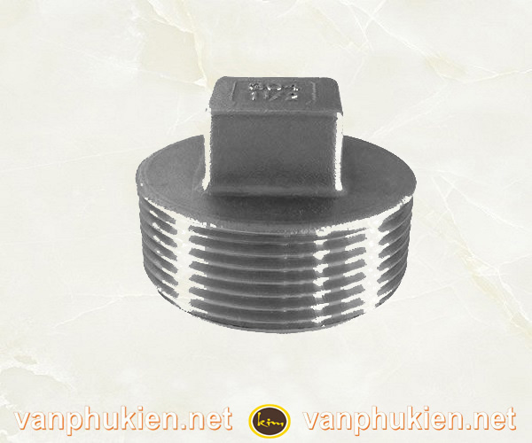 Bịt ren ngoài inox