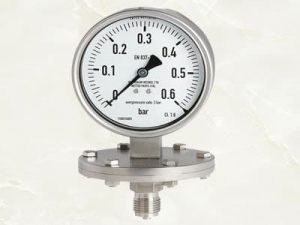 Đồng hồ đo áp suất dạng màng