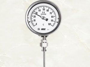 Đồng hồ đo nhiệt độ chân đứng