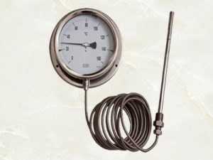 Đồng hồ đo nhiệt độ dạng dây