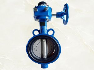 Van bướm tay quay