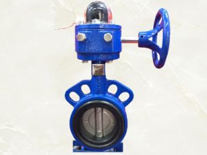 Van bướm tín hiệu điện