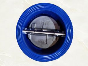 Van một chiều cánh bướm