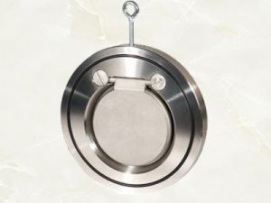 Van một chiều cửa lật